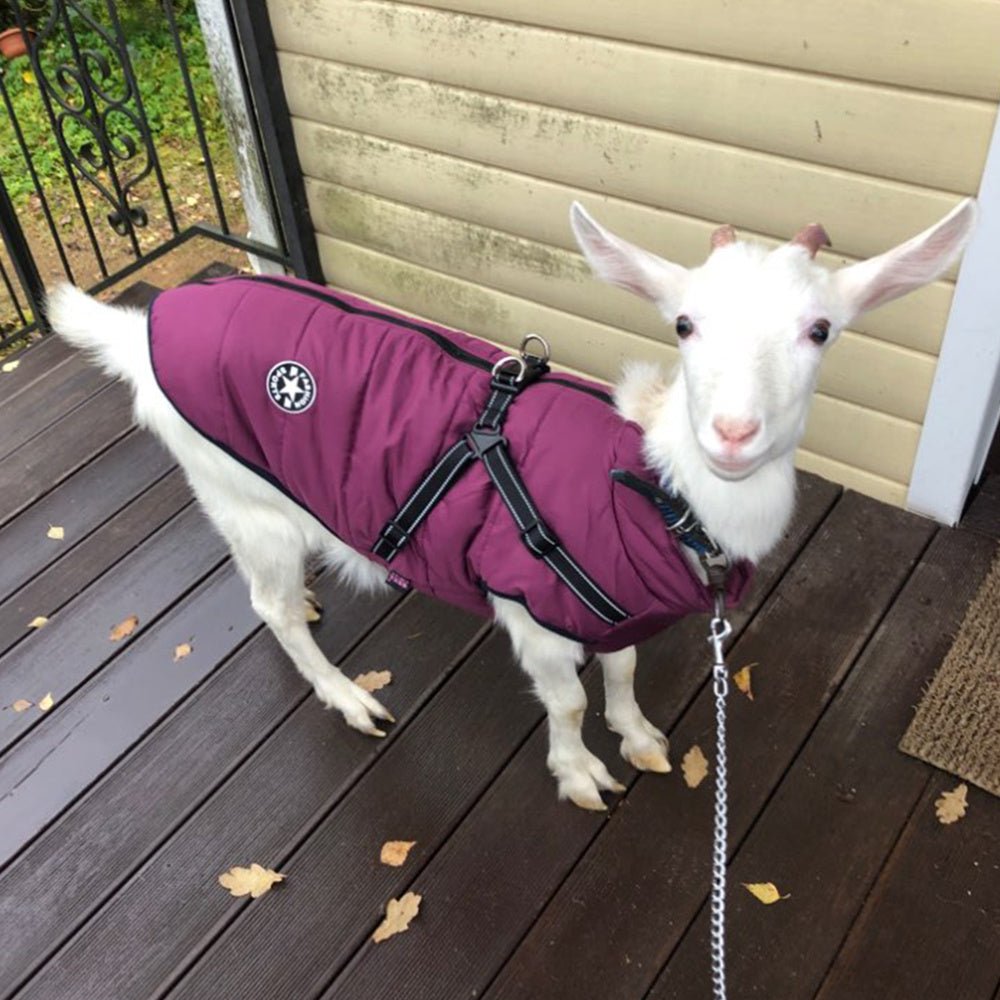 Waterproof Dog Clothes Winter Dog Coat With Harness Warm Pet Clothing Big Dog Jacket Chihuahua Labrador Coat Costume - EliteMascotas