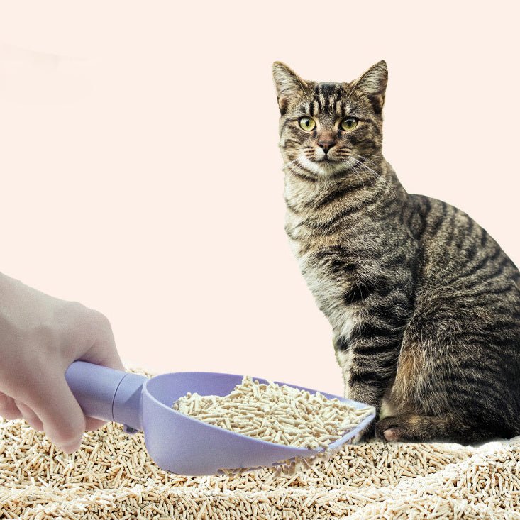 🧹 Pala Higiénica para Gatos con Base – Limpieza Elegante y Eficaz 🐾 - EliteMascotas