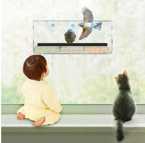 🌿 Alimentador Acrílico Transparente – Comedero Moderno y Minimalista para Aves, Ideal para Jardín, Terraza y Balcón ✨🐦 - EliteMascotas