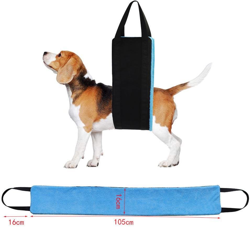 🌿 Cinturón Auxiliar para Perros – Comodidad y Soporte en Cada Paseo para tu Mascota 🐶🦮✨ - EliteMascotas