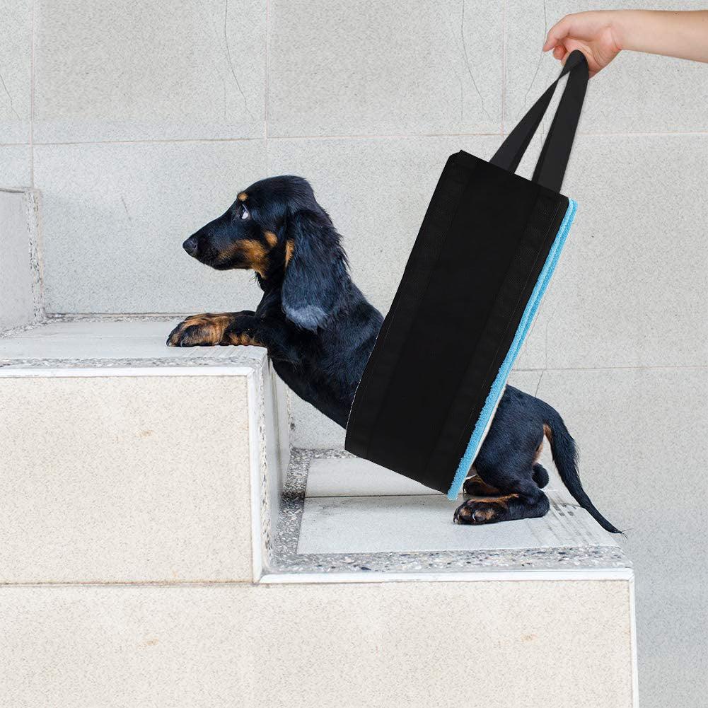 🌿 Cinturón Auxiliar para Perros – Comodidad y Soporte en Cada Paseo para tu Mascota 🐶🦮✨ - EliteMascotas