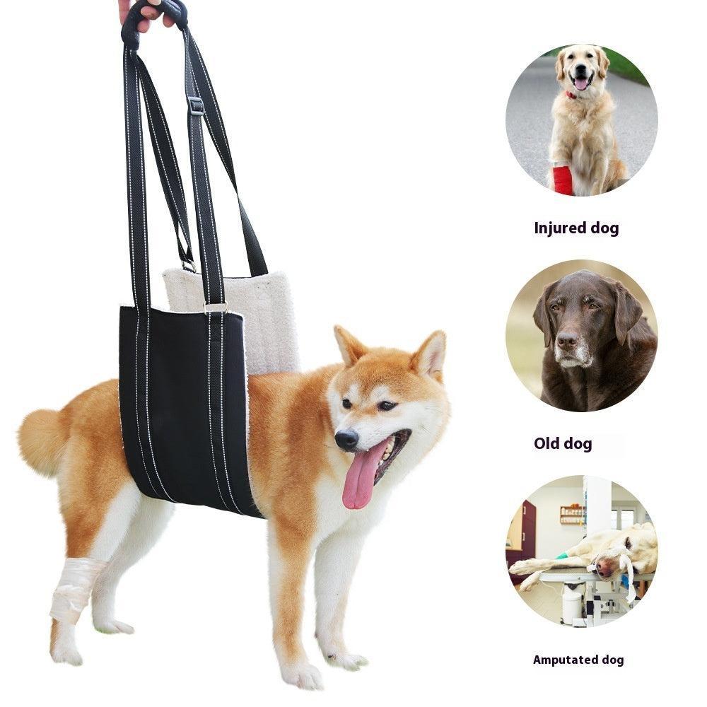 🌿 Cinturón de Rehabilitación y Entrenamiento Ajustable para Perros – Soporte, Confort y Bienestar en Cada Paso 🐾💛 - EliteMascotas
