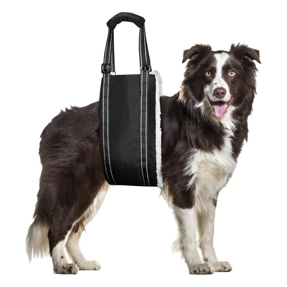 🌿 Cinturón de Rehabilitación y Entrenamiento Ajustable para Perros – Soporte, Confort y Bienestar en Cada Paso 🐾💛 - EliteMascotas