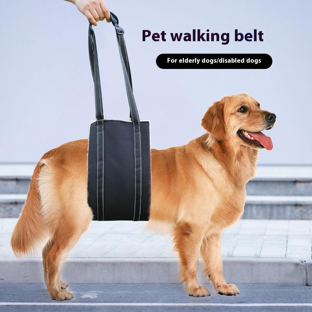 🌿 Cinturón de Rehabilitación y Entrenamiento Ajustable para Perros – Soporte, Confort y Bienestar en Cada Paso 🐾💛 - EliteMascotas