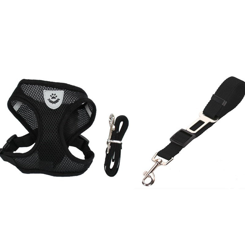 Cinturón de Seguridad para Mascotas en Coche – Protección y Comodidad en Cada Viaje 🚗🐾 - EliteMascotas