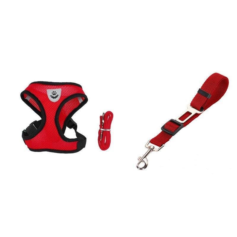 Cinturón de Seguridad para Mascotas en Coche – Protección y Comodidad en Cada Viaje 🚗🐾 - EliteMascotas