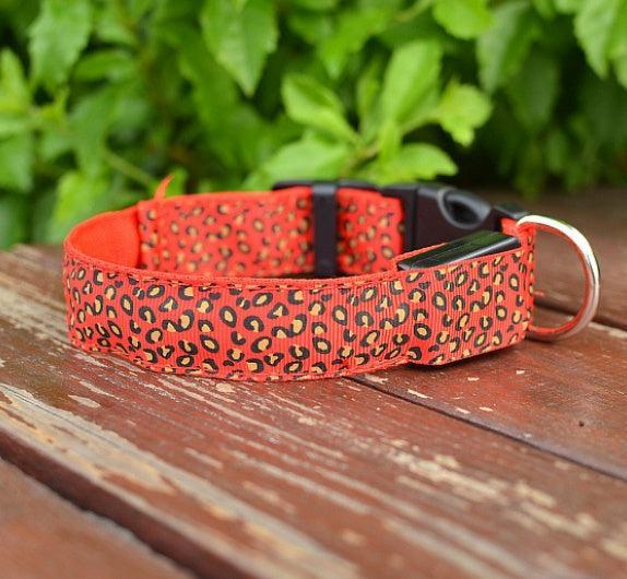 Collar LED de Leopardo para Seguridad Nocturna 🐾🌙 - EliteMascotas
