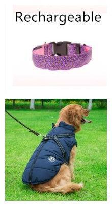 Collar LED de Leopardo para Seguridad Nocturna 🐾🌙 - EliteMascotas