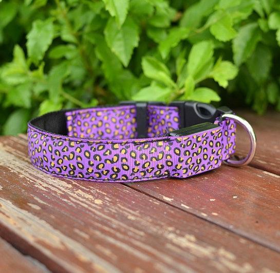 Collar LED de Leopardo para Seguridad Nocturna 🐾🌙 - EliteMascotas