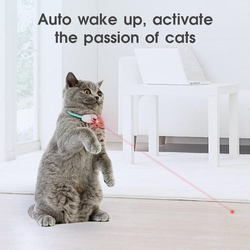 Collar Láser Interactivo para Gatos Activos – ¡Mantén a tu gato activo y saludable! 🐾🎮 - EliteMascotas
