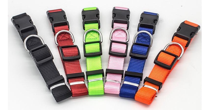 Collar Versátil de Nylon para Mascotas Seguras 🐾 - EliteMascotas