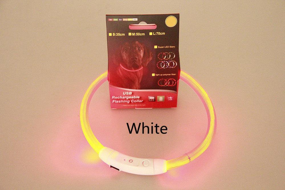 Collar de Seguridad Neón USB Recargable – Visibilidad y protección total en cada paseo nocturno 🌟🐾 - EliteMascotas