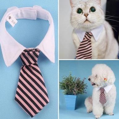 Corbata de Moño con Estampado para Mascotas – ¡Elegancia y diversión para tu compañero peludo! 🎀🐾