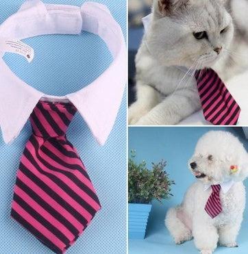Corbata de Moño con Estampado para Mascotas – ¡Elegancia y diversión para tu compañero peludo! 🎀🐾