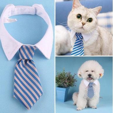 Corbata de Moño con Estampado para Mascotas – ¡Elegancia y diversión para tu compañero peludo! 🎀🐾