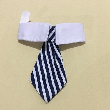 Corbata de Moño con Estampado para Mascotas – ¡Elegancia y diversión para tu compañero peludo! 🎀🐾