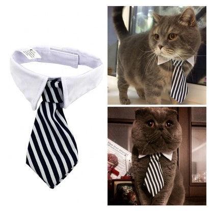 Corbata de Moño con Estampado para Mascotas – ¡Elegancia y diversión para tu compañero peludo! 🎀🐾 - EliteMascotas