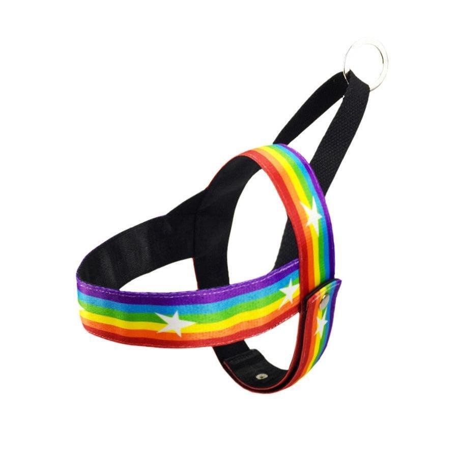 Correa Arcoíris para Perros con Correa Pecho – Estilo y Seguridad en Cada Paseo 🌈🐶 - EliteMascotas