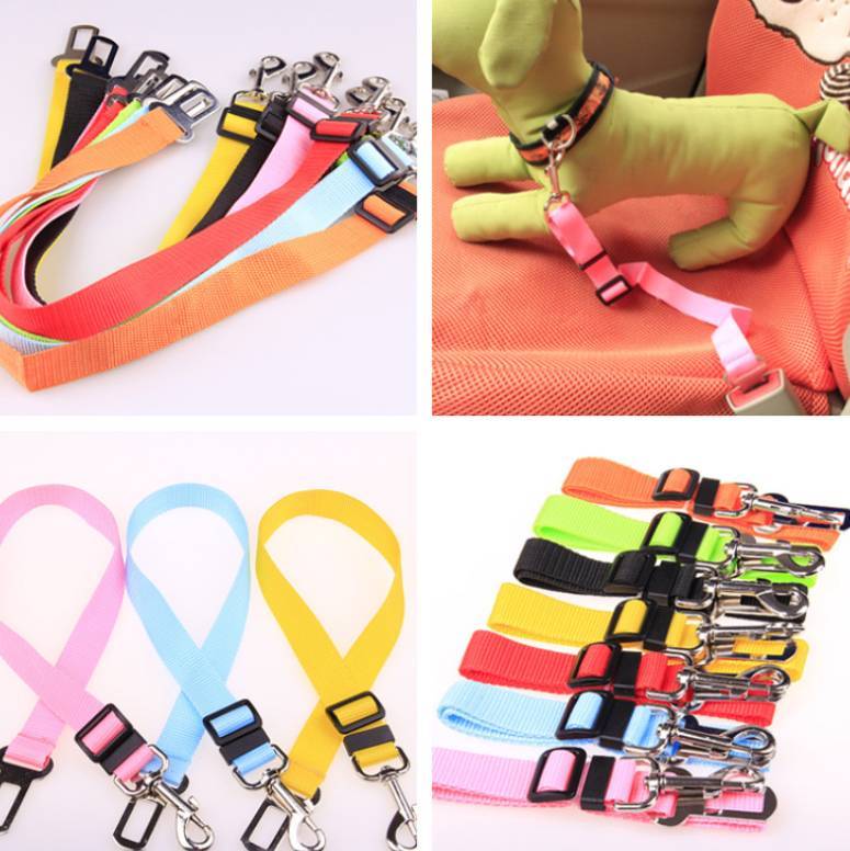 🌿 Correa Fija para Mascotas de Coche – Seguridad y Confort en Cada Viaje 🚗🐾✨