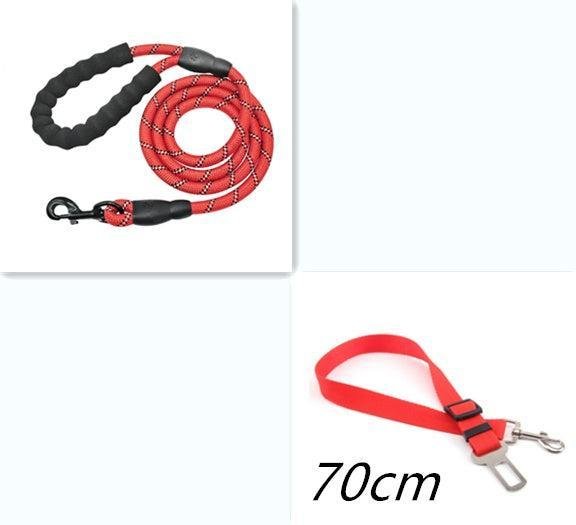 Correa Reflectante de Nylon para Paseos Seguros – Paseos Confortables y Visibles 🌟🐾 - EliteMascotas