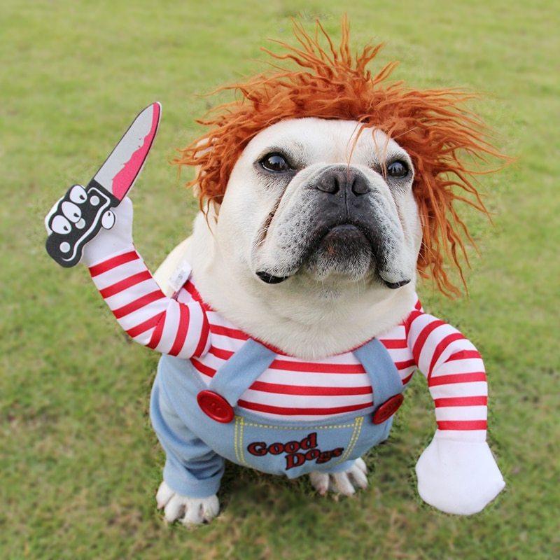 Disfraz Terrorífico de Halloween para Mascotas Divertidas – ¡La diversión y el miedo se combinan! 🎃🐾 - EliteMascotas