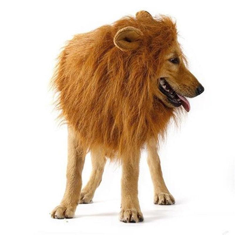Disfraz de Melena de León para Mascotas – ¡Convierte a tu peludo en el rey de la jungla! 🦁🎉 - EliteMascotas