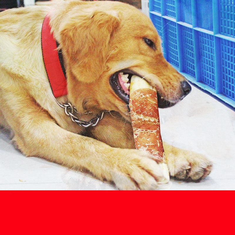 🌿 Huesos Limpiadores de Dientes para Perros – Salud Dental y Sabor en Cada Bocado 🦴🐶🦷