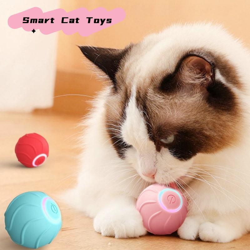 Pelota Bote Inteligente para Gatos – Diversión automática y sin límites para tu felino 🐾🐱⚙️ - EliteMascotas