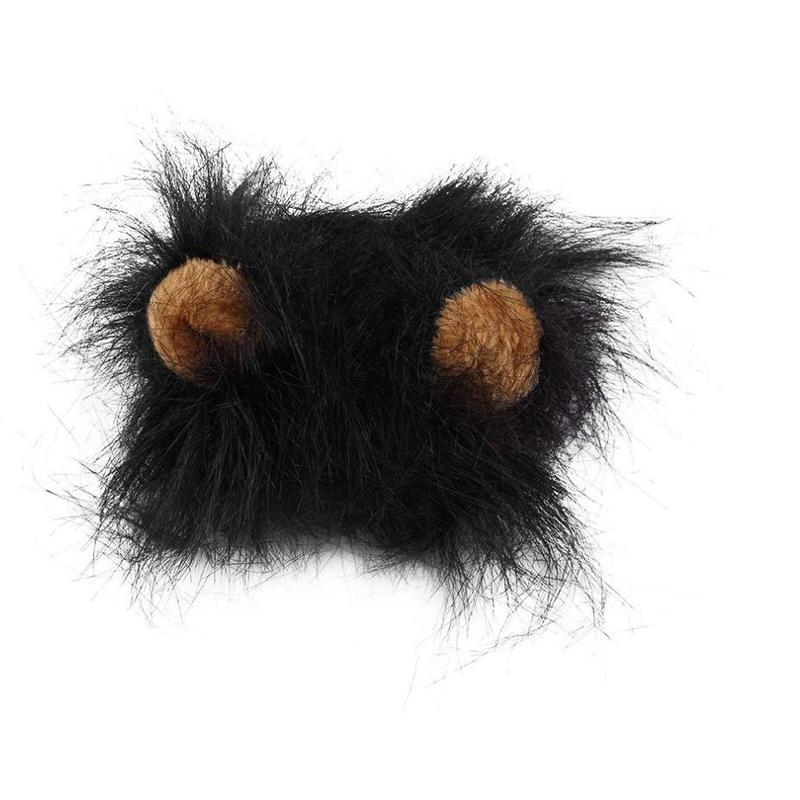 Sombrero Divertido de León para Mascotas Pequeñas 🦁🎉 - EliteMascotas