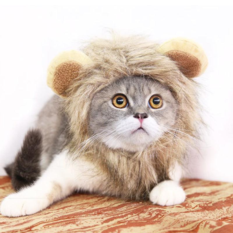 Sombrero Divertido de León para Mascotas Pequeñas 🦁🎉 - EliteMascotas