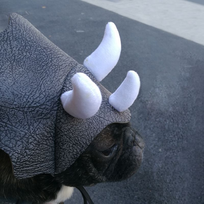 Sombrero Transformable de Dinosaurio Triceratops para Mascotas 🦖🎉 - EliteMascotas