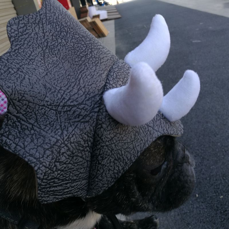 Sombrero Transformable de Dinosaurio Triceratops para Mascotas 🦖🎉 - EliteMascotas