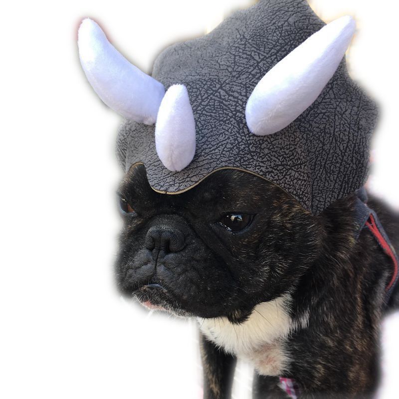 Sombrero Transformable de Dinosaurio Triceratops para Mascotas 🦖🎉 - EliteMascotas
