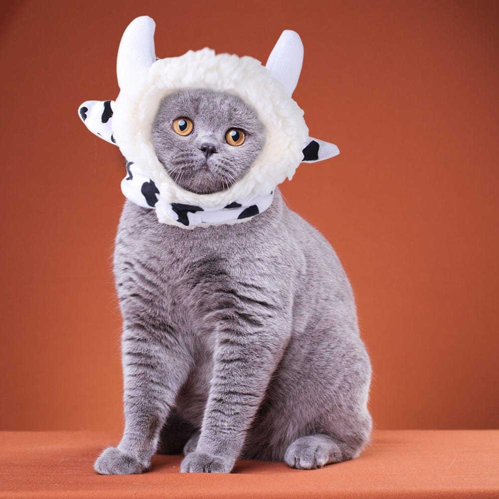🌿Sombrero para Mascotas con Pelo Rizado - Divertido para Gatos 🐱🎩✨ – ¡Dale a tu gato un look inolvidable! - EliteMascotas