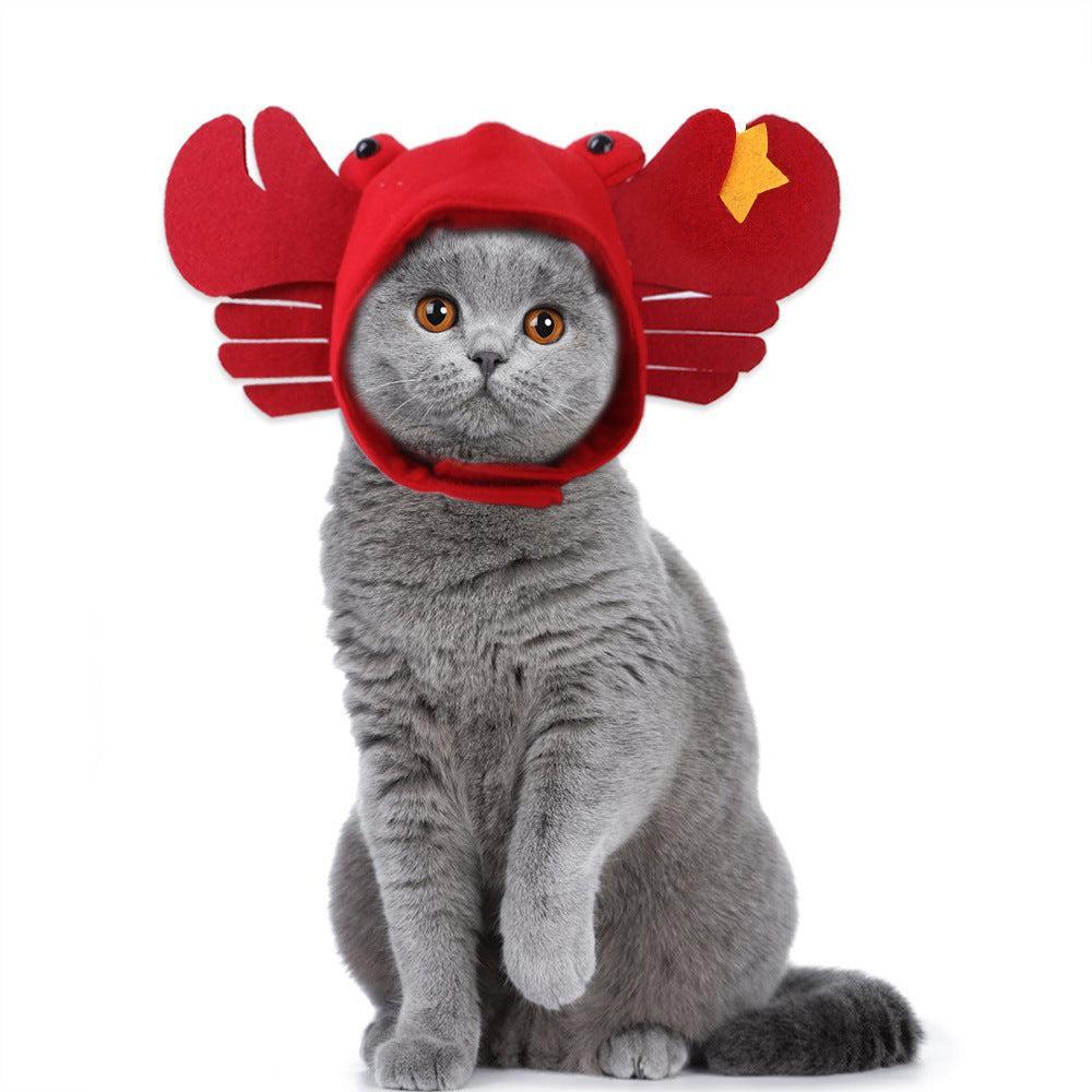 🌿Sombrero para Mascotas con Pelo Rizado - Divertido para Gatos 🐱🎩✨ – ¡Dale a tu gato un look inolvidable! - EliteMascotas