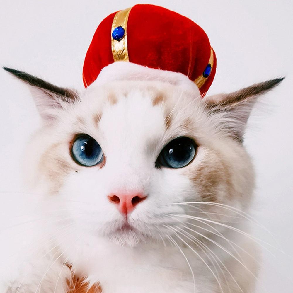 🌿Sombrero para Mascotas con Pelo Rizado - Divertido para Gatos 🐱🎩✨ – ¡Dale a tu gato un look inolvidable! - EliteMascotas