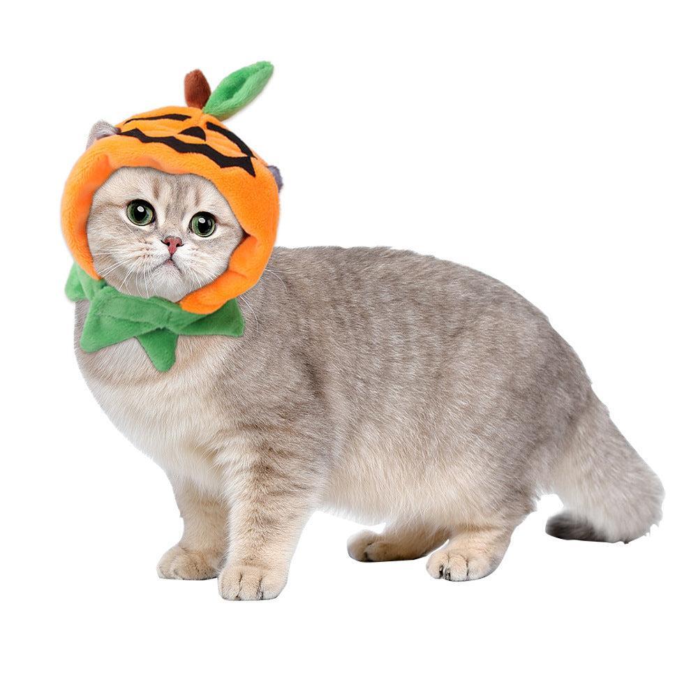 🌿Sombrero para Mascotas con Pelo Rizado - Divertido para Gatos 🐱🎩✨ – ¡Dale a tu gato un look inolvidable! - EliteMascotas