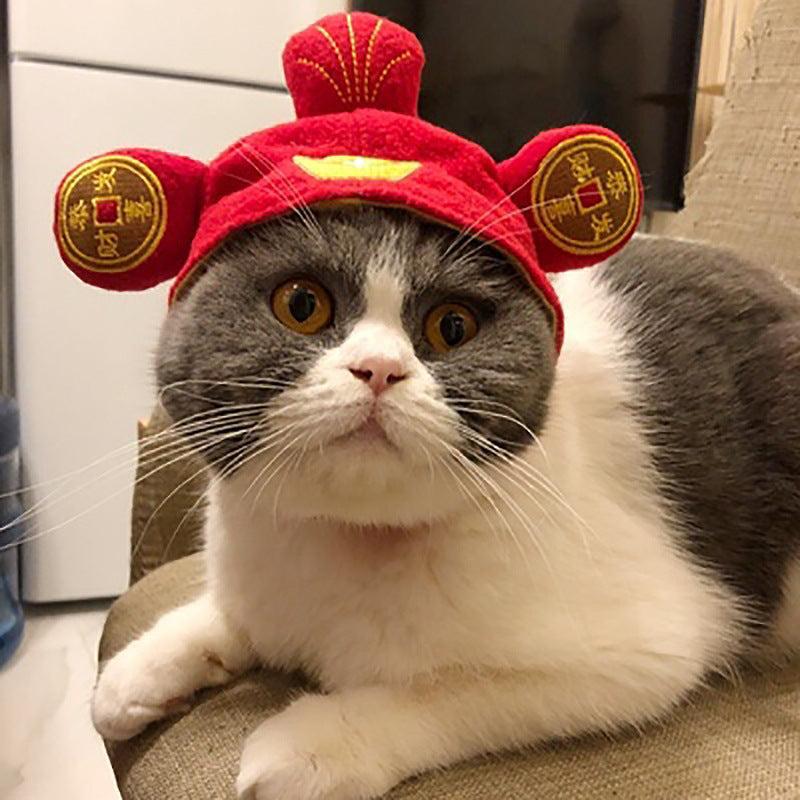 🌿Sombrero para Mascotas con Pelo Rizado - Divertido para Gatos 🐱🎩✨ – ¡Dale a tu gato un look inolvidable! - EliteMascotas