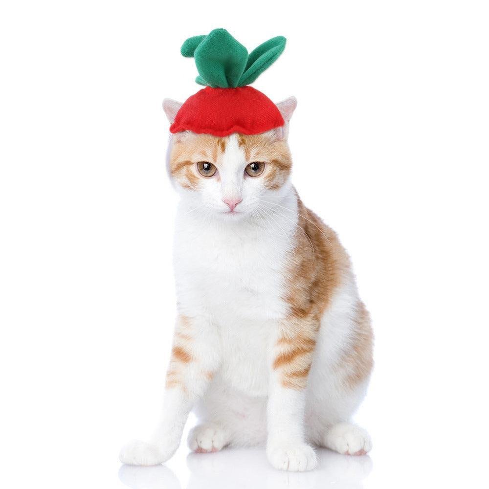 🌿Sombrero para Mascotas con Pelo Rizado - Divertido para Gatos 🐱🎩✨ – ¡Dale a tu gato un look inolvidable! - EliteMascotas