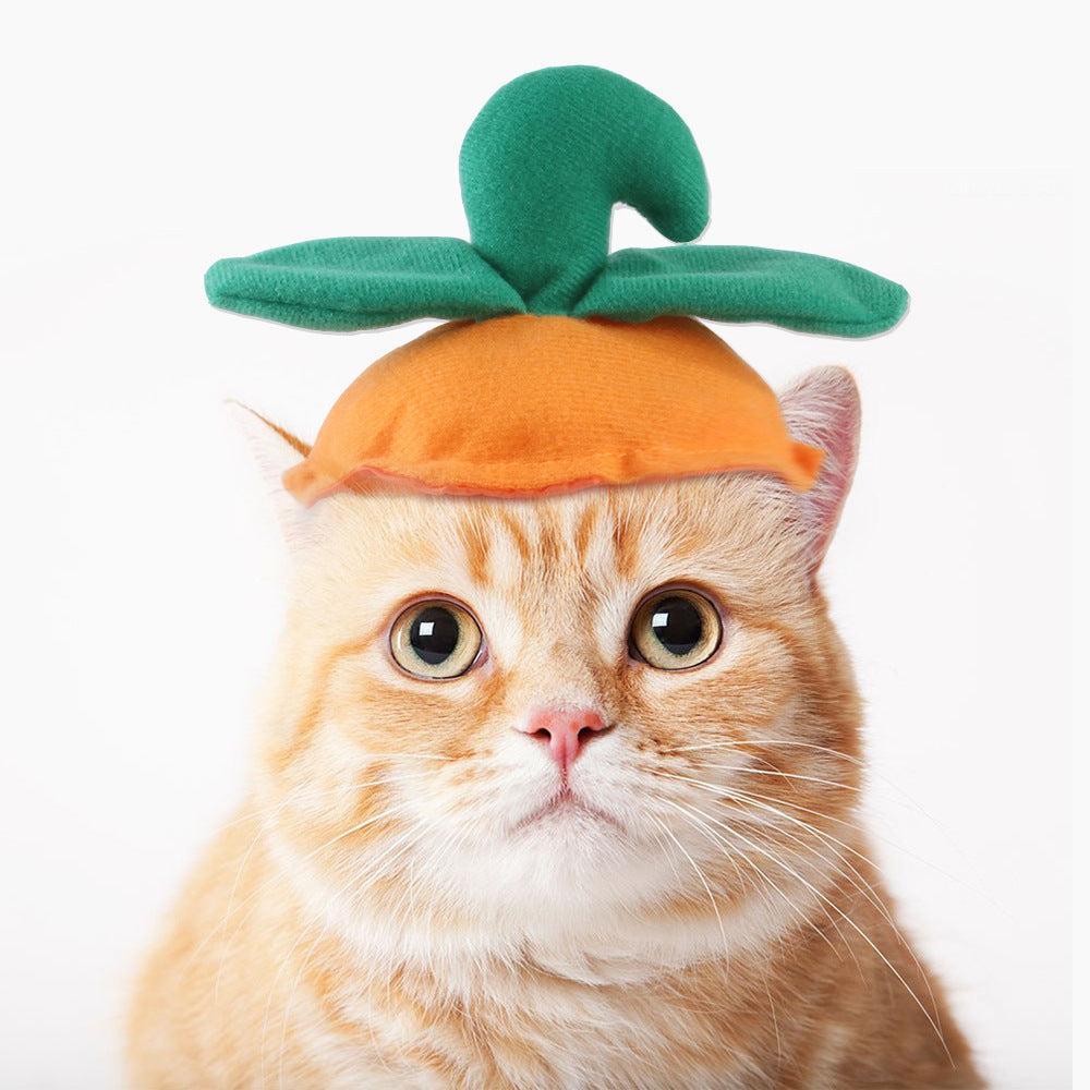 🌿Sombrero para Mascotas con Pelo Rizado - Divertido para Gatos 🐱🎩✨ – ¡Dale a tu gato un look inolvidable! - EliteMascotas