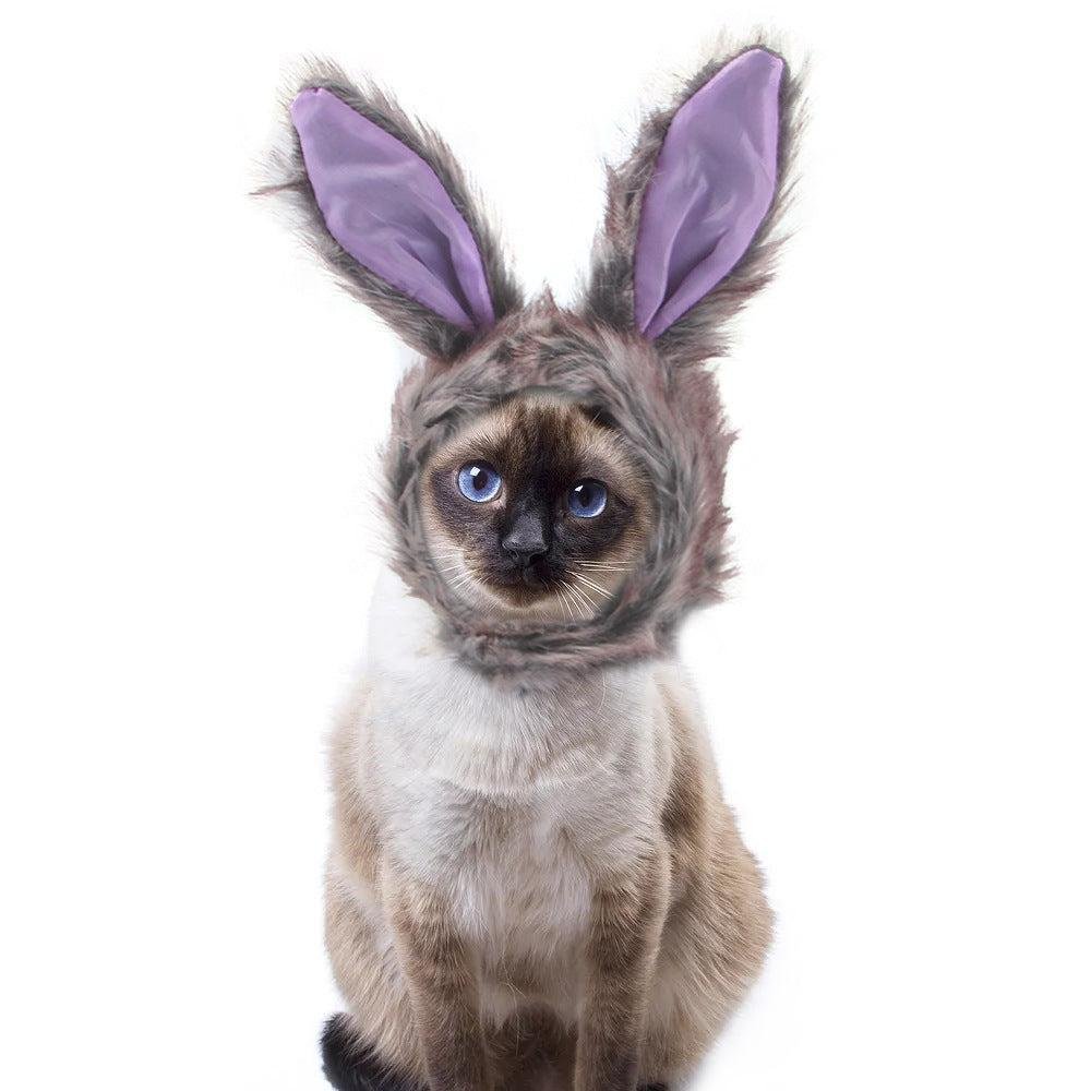 🌿Sombrero para Mascotas con Pelo Rizado - Divertido para Gatos 🐱🎩✨ – ¡Dale a tu gato un look inolvidable! - EliteMascotas