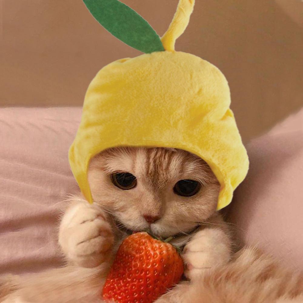 🌿Sombrero para Mascotas con Pelo Rizado - Divertido para Gatos 🐱🎩✨ – ¡Dale a tu gato un look inolvidable! - EliteMascotas