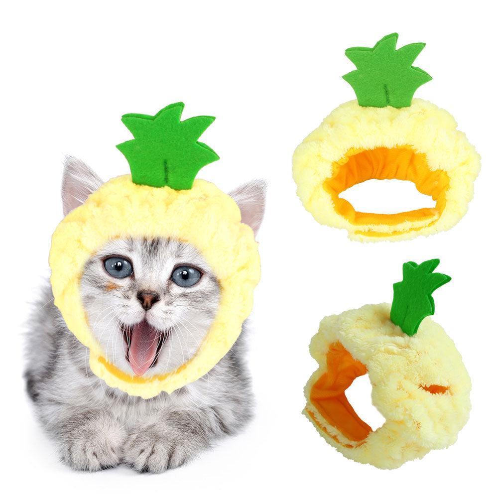 🌿Sombrero para Mascotas con Pelo Rizado - Divertido para Gatos 🐱🎩✨ – ¡Dale a tu gato un look inolvidable! - EliteMascotas