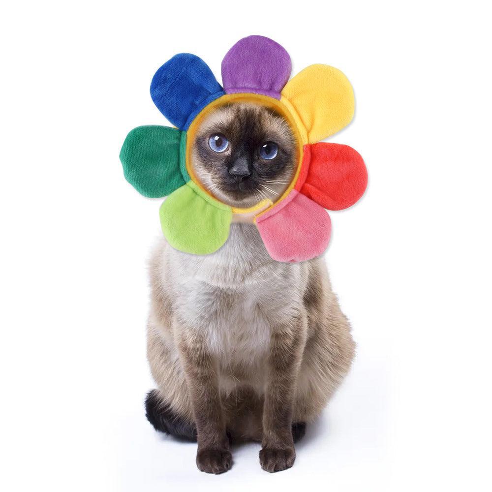 🌿Sombrero para Mascotas con Pelo Rizado - Divertido para Gatos 🐱🎩✨ – ¡Dale a tu gato un look inolvidable! - EliteMascotas