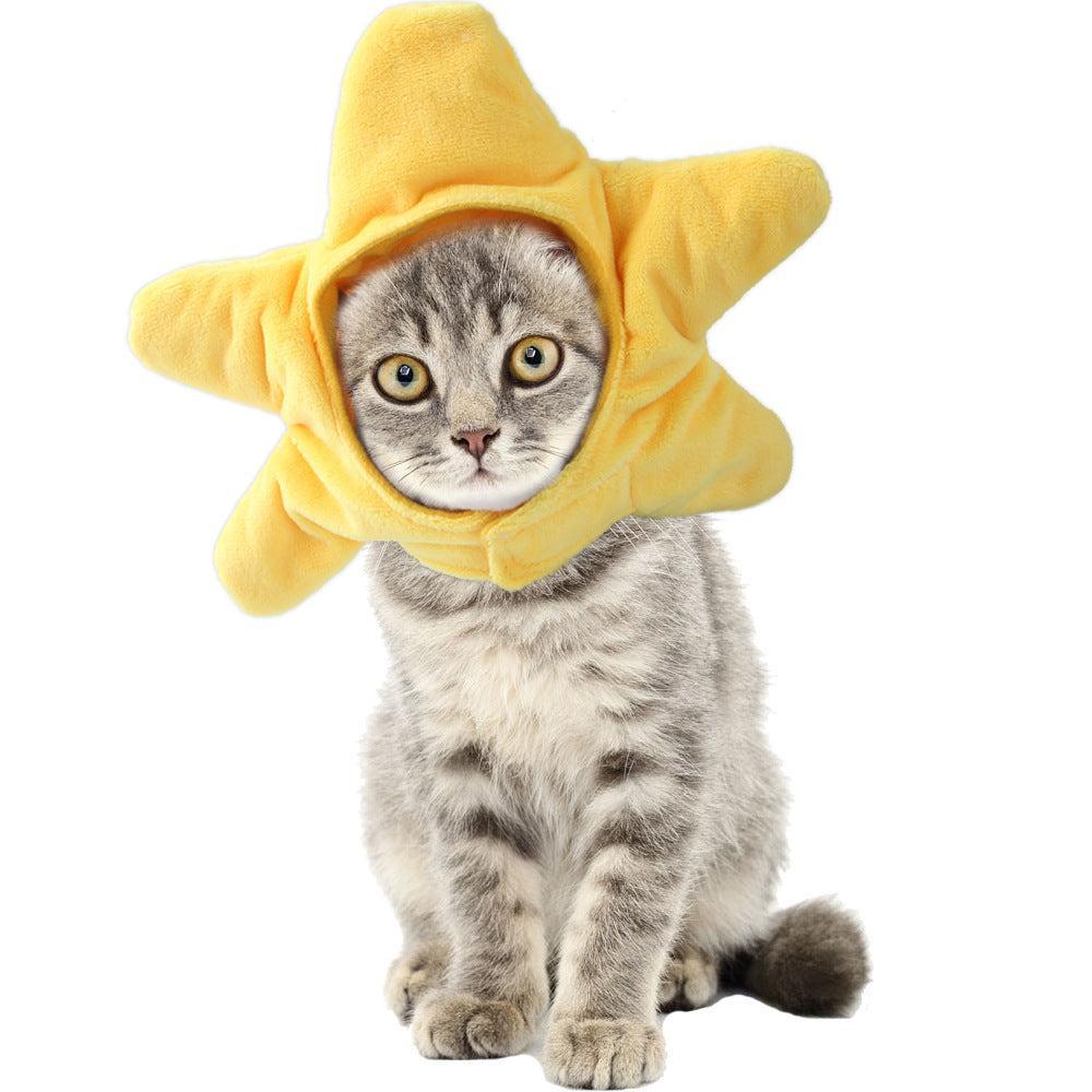 🌿Sombrero para Mascotas con Pelo Rizado - Divertido para Gatos 🐱🎩✨ – ¡Dale a tu gato un look inolvidable! - EliteMascotas