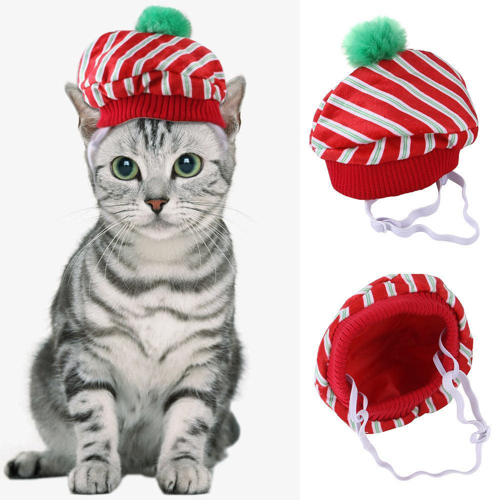 🌿Sombrero para Mascotas con Pelo Rizado - Divertido para Gatos 🐱🎩✨ – ¡Dale a tu gato un look inolvidable! - EliteMascotas