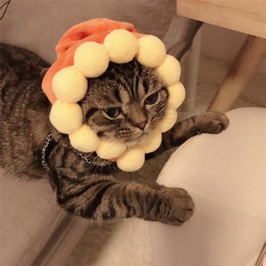 🌿Sombrero para Mascotas con Pelo Rizado - Divertido para Gatos 🐱🎩✨ – ¡Dale a tu gato un look inolvidable! - EliteMascotas