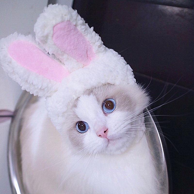 🌿Sombrero para Mascotas con Pelo Rizado - Divertido para Gatos 🐱🎩✨ – ¡Dale a tu gato un look inolvidable! - EliteMascotas