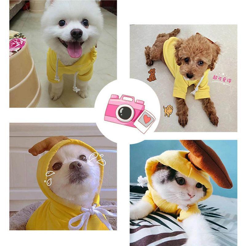Sudadera Frutal para Perros Pequeños en Invierno – Estilo, Calidez y Comodidad para los Días Fríos 🍊🐶 - EliteMascotas