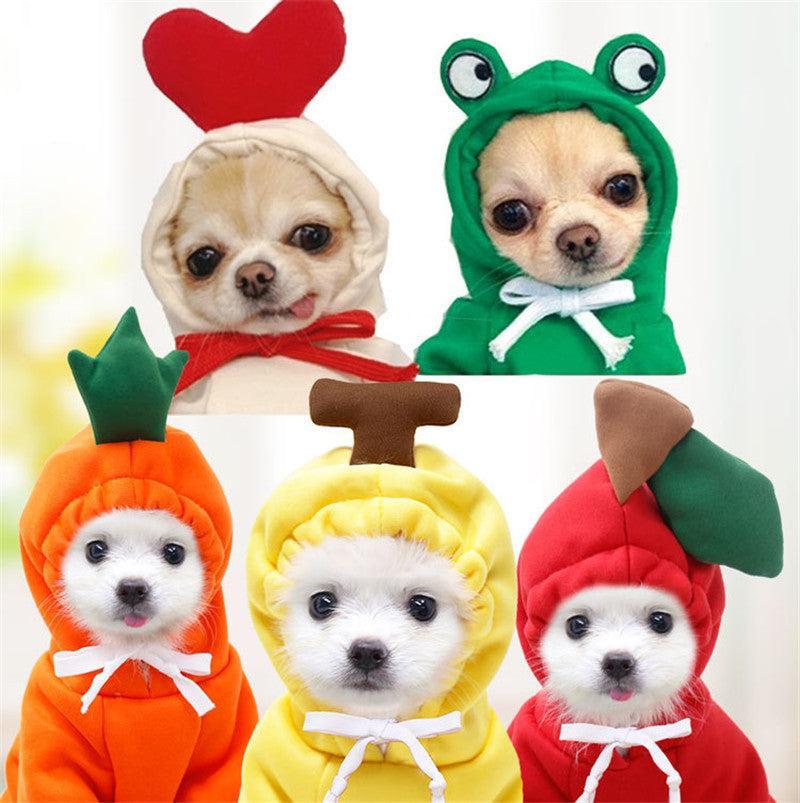 Sudadera Frutal para Perros Pequeños en Invierno – Estilo, Calidez y Comodidad para los Días Fríos 🍊🐶 - EliteMascotas